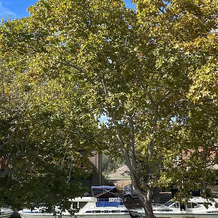 ベッド・アンド・ブレックファスト Maison Du Canal Du Midi