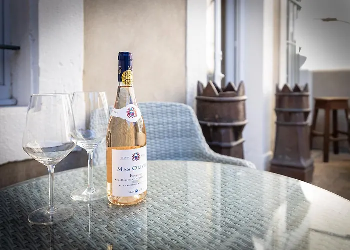 Maison Du Canal Du Midi 3* Каркассон