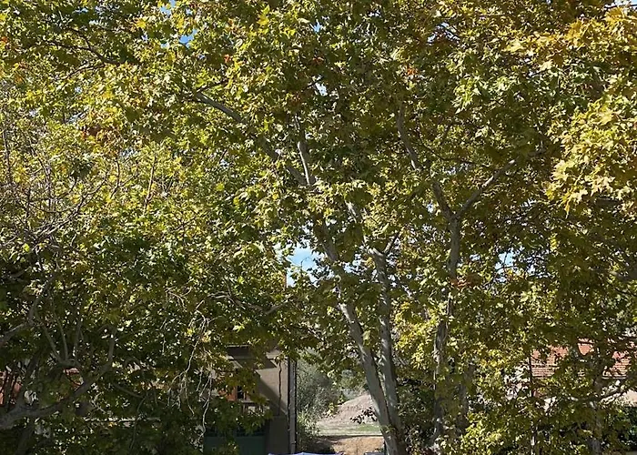 Bed & Breakfast Maison Du Canal Du Midi